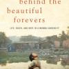 Behind the Beautiful Forevers